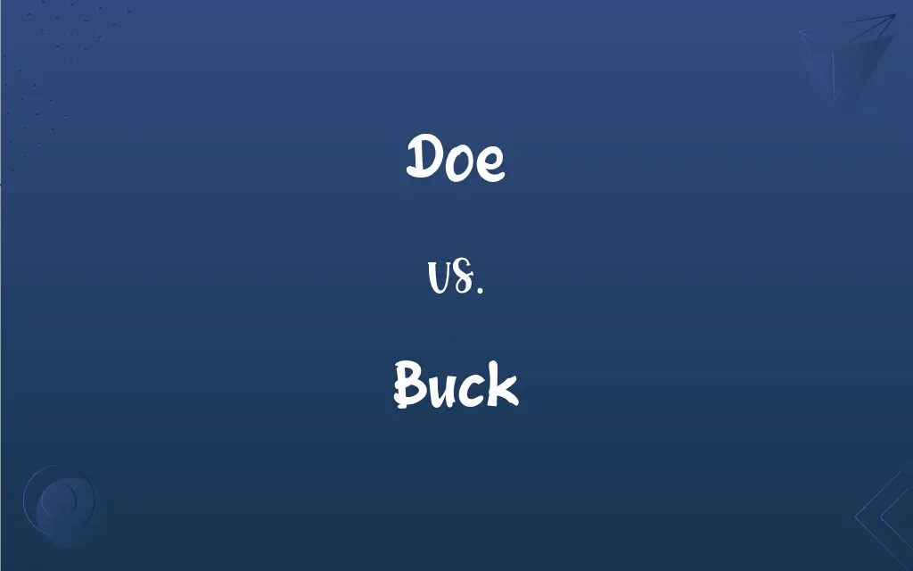Doe vs. Buck What’s the Difference?