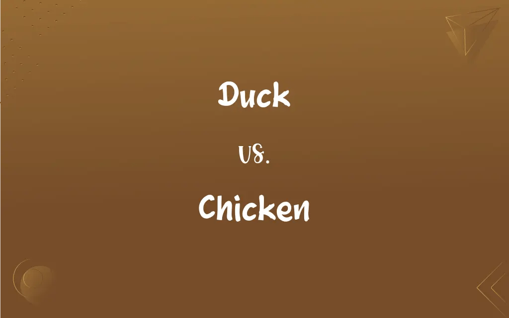 Duck vs. Chicken What’s the Difference?