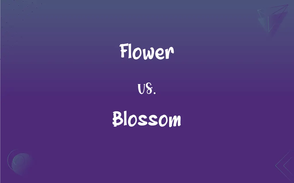 Flower vs. Blossom What’s the Difference?