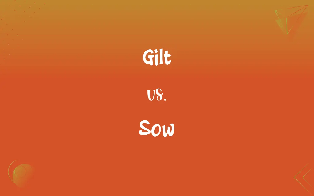 Gilt vs. Sow What’s the Difference?