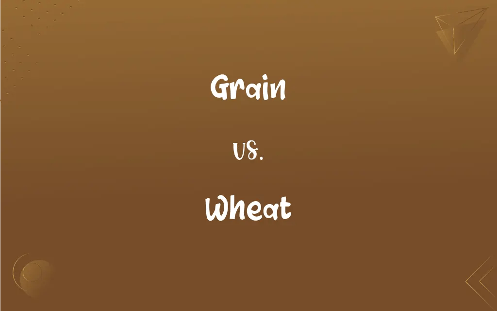 Grain vs. Wheat What’s the Difference?