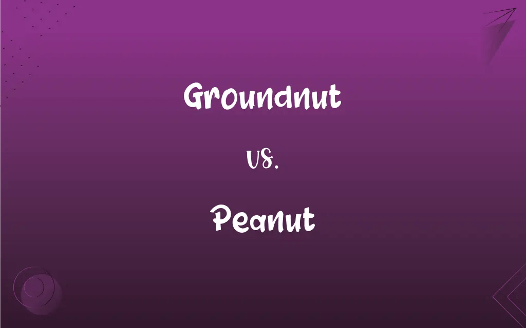 Groundnut vs. Peanut What’s the Difference?