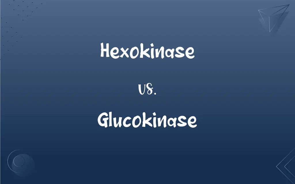 Hexokinase vs. Glucokinase What’s the Difference?