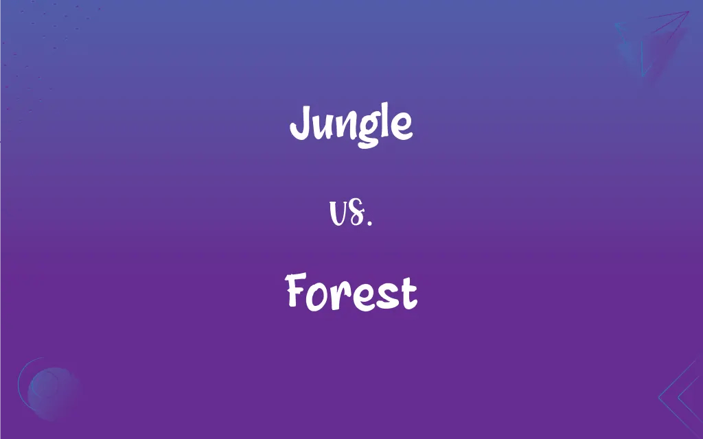 Jungle vs. Forest What’s the Difference?