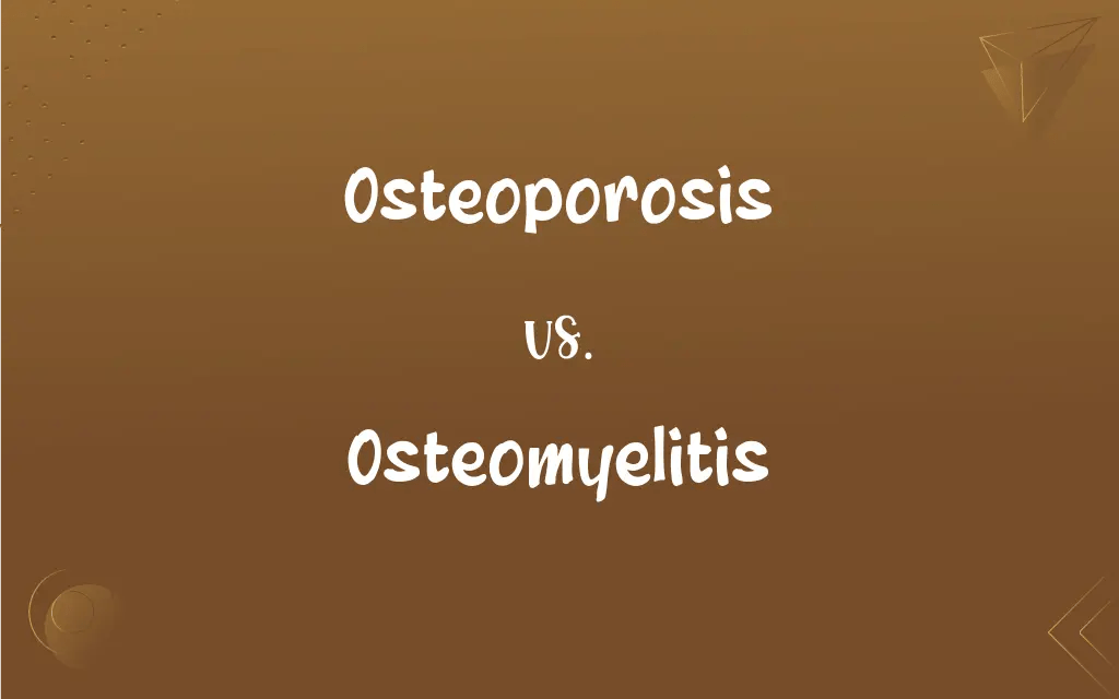 Osteoporosis vs. Osteomyelitis What’s the Difference?