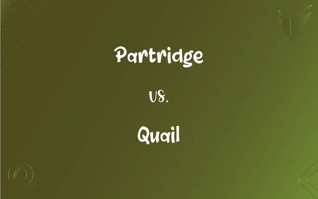 Partridge vs. Quail What’s the Difference?