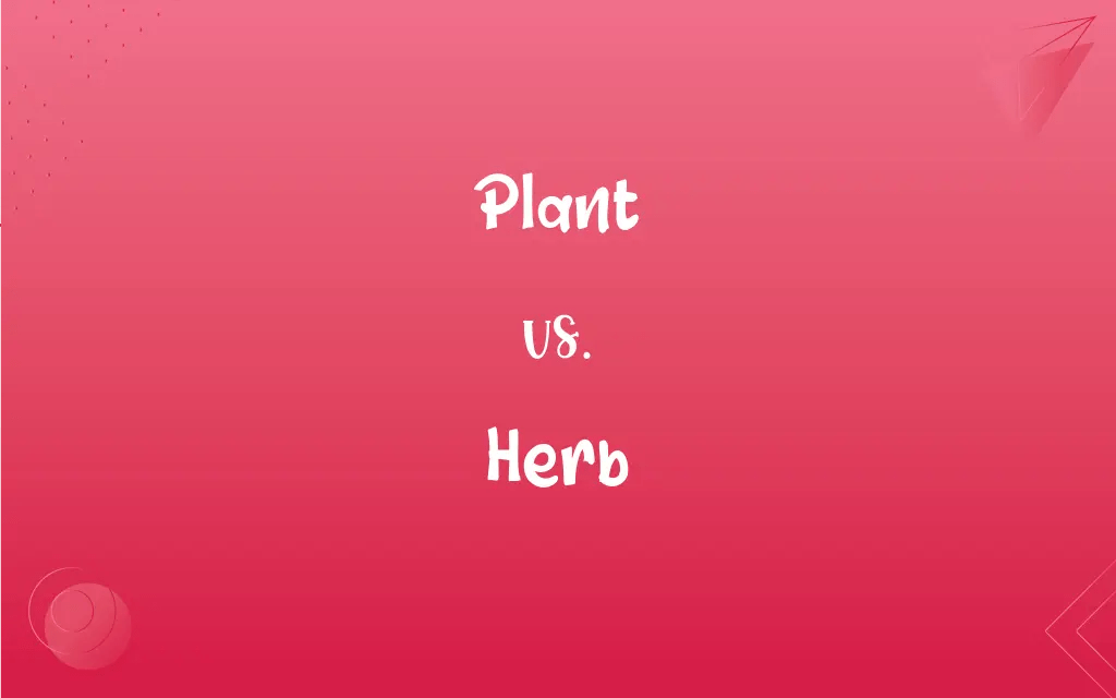 Plant vs. Herb What’s the Difference?