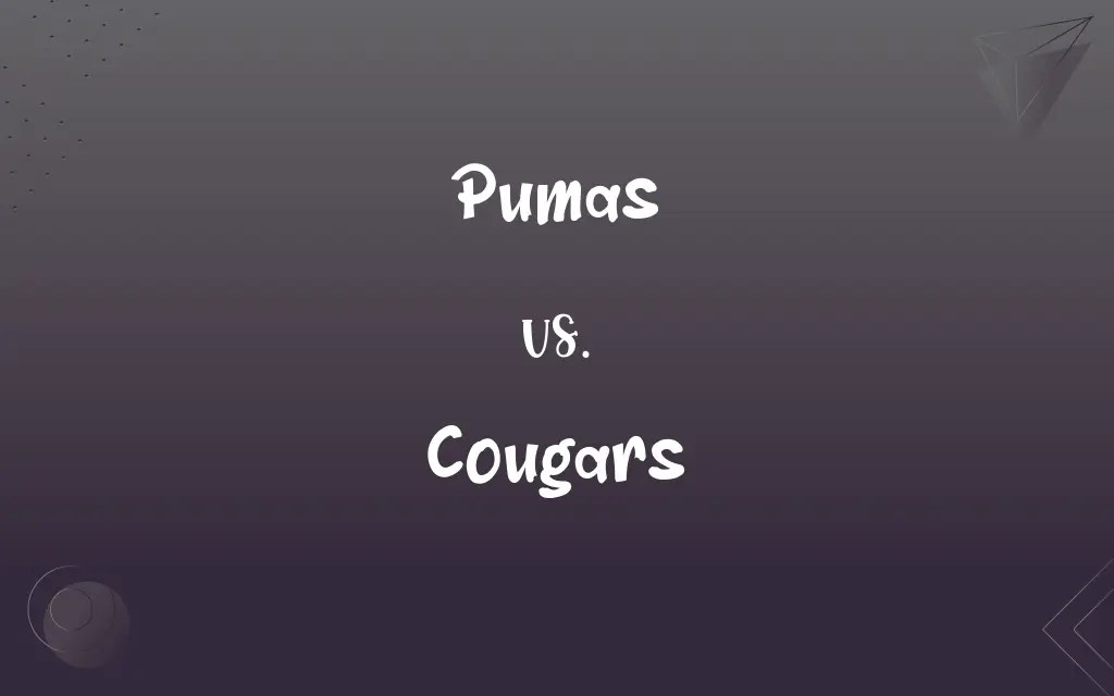 Pumas vs. Cougars What’s the Difference?