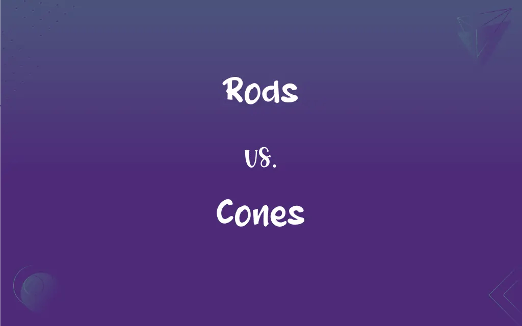 Rods vs. Cones What’s the Difference?
