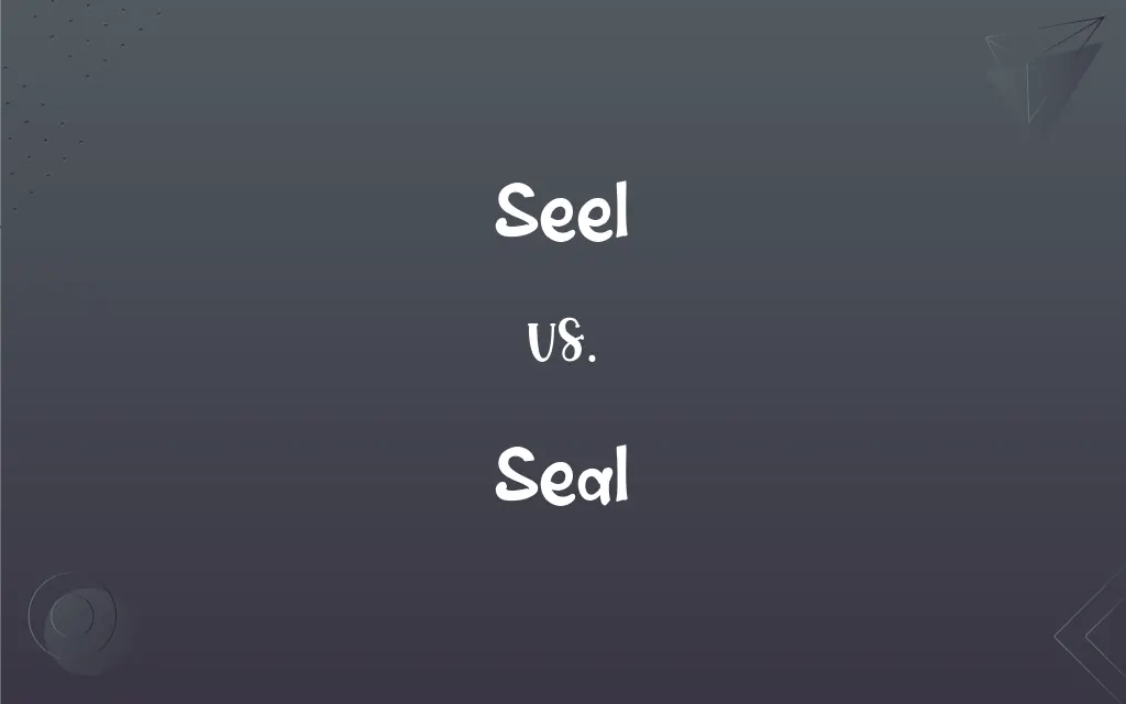 Seel vs. Seal Mastering the Correct Spelling