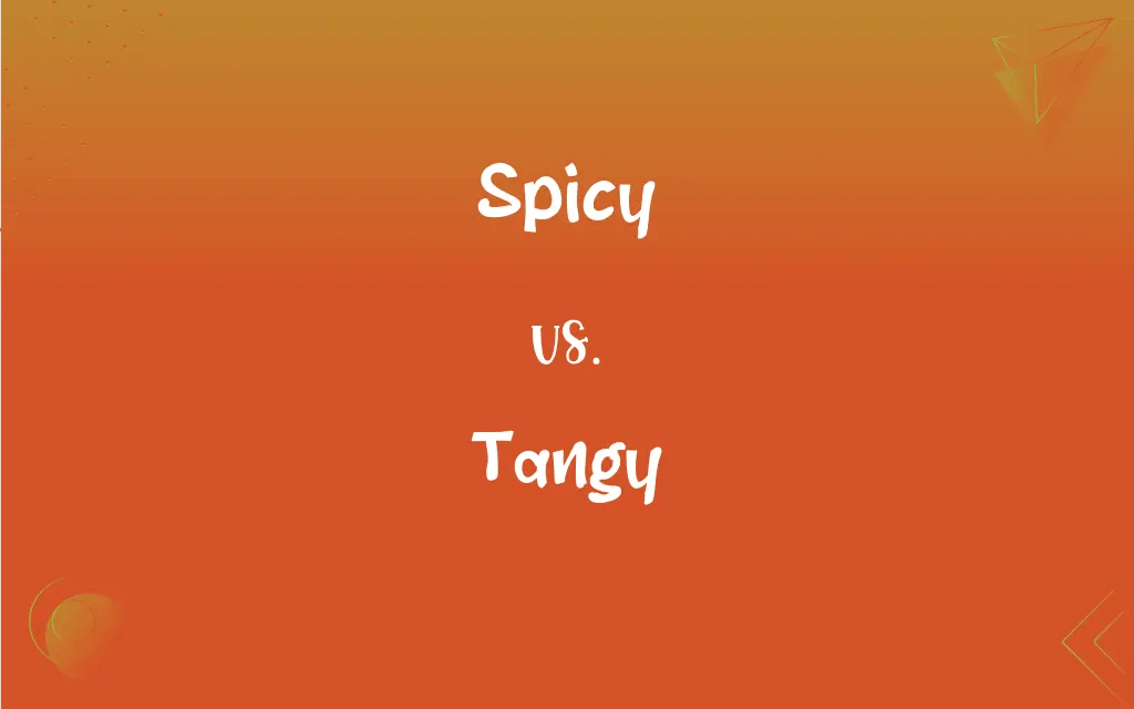Spicy vs. Tangy What’s the Difference?