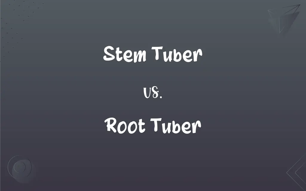 Stem Tuber vs. Root Tuber What’s the Difference?