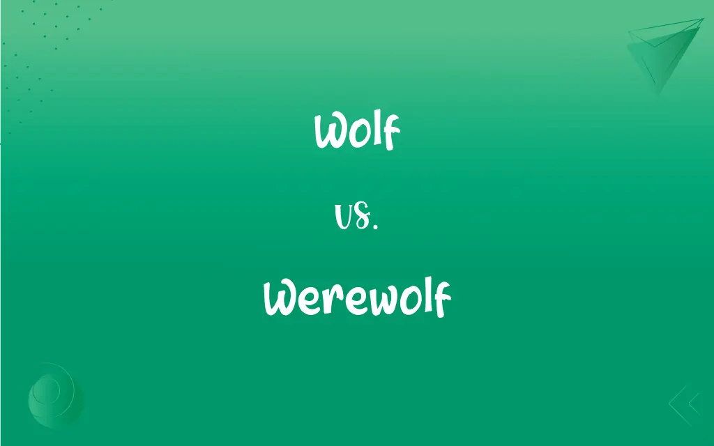 Wolf vs. Werewolf What’s the Difference?