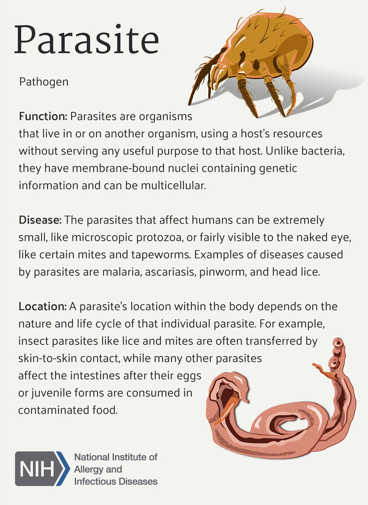 Difference Between Parasite and Host Difference Between