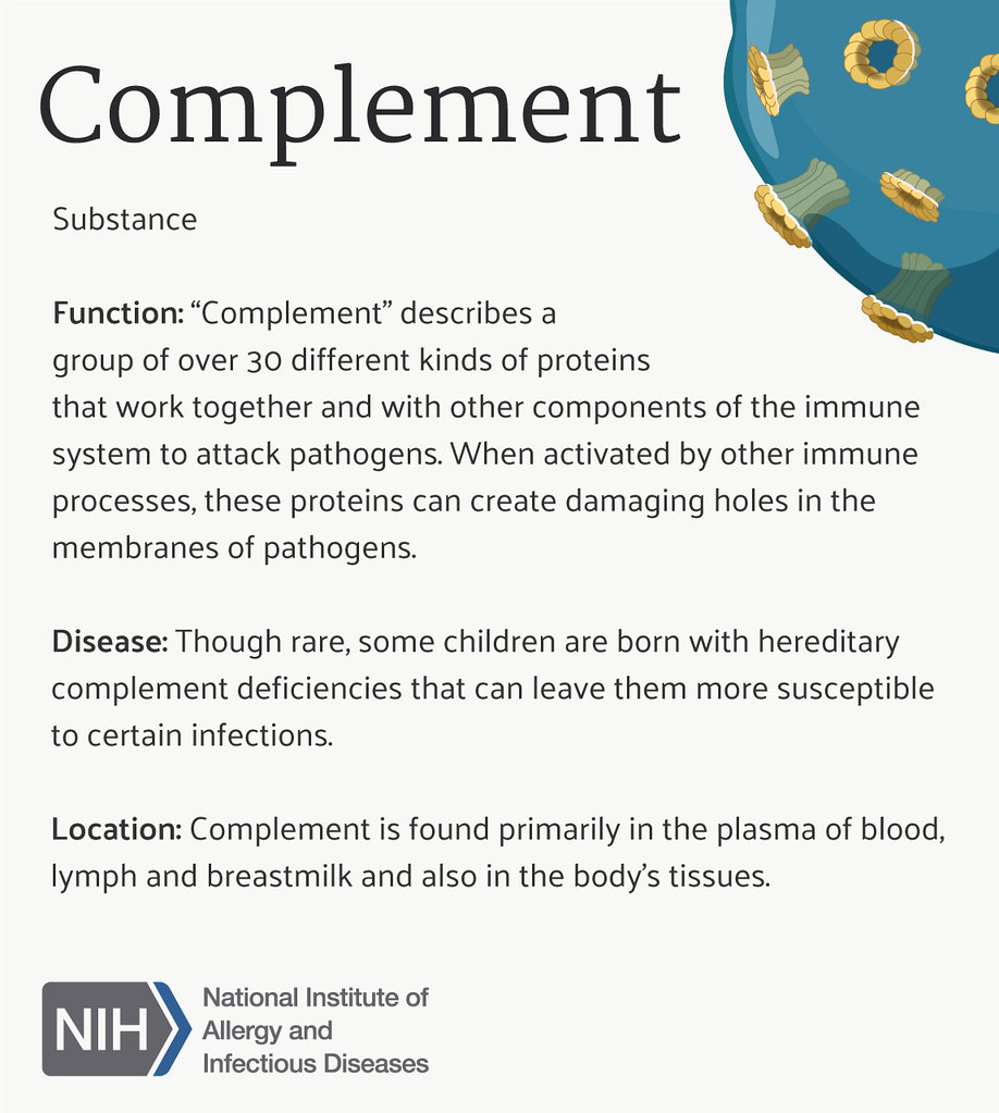 Difference Between Complement and Supplement | Difference Between
