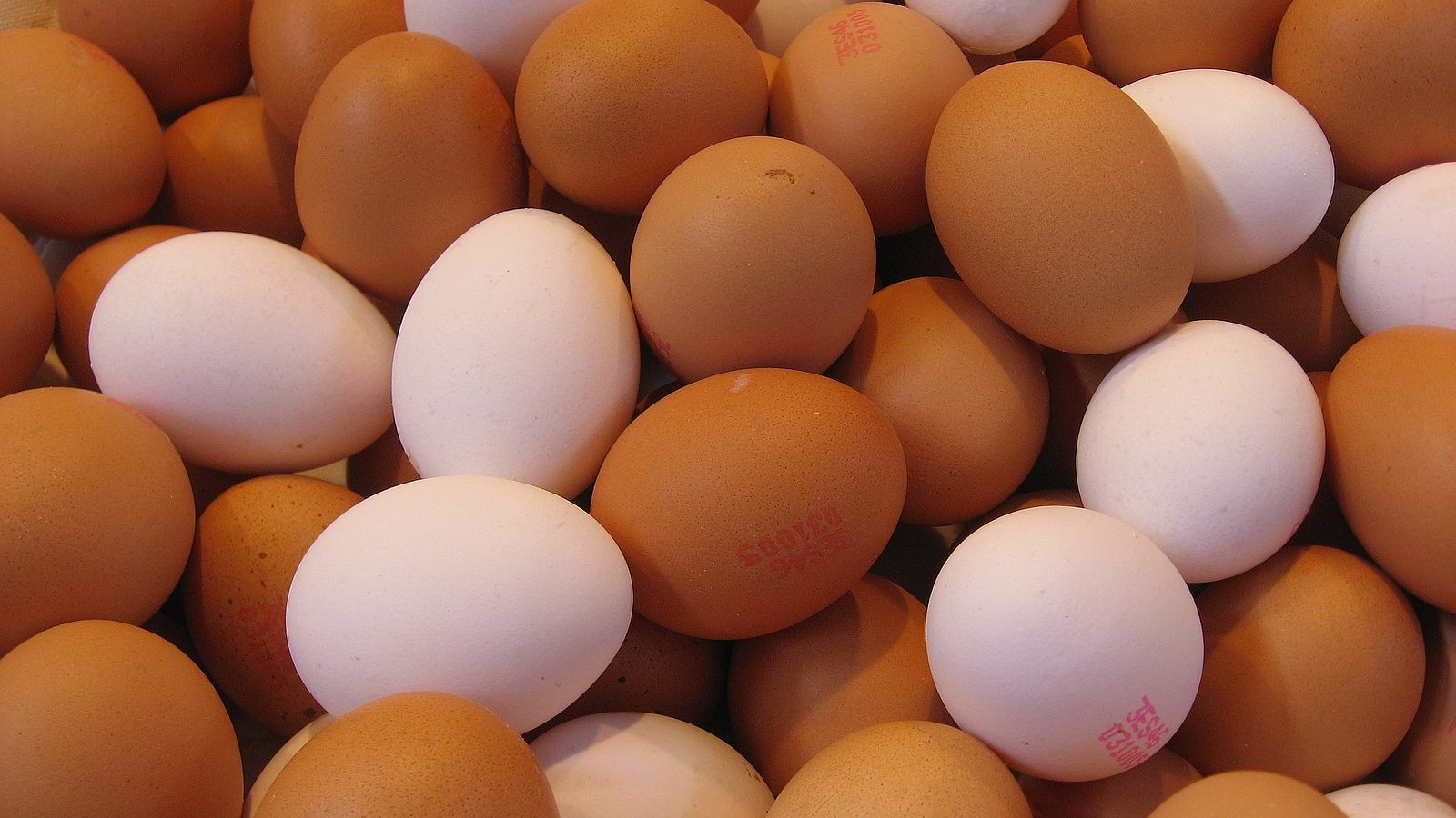 Difference Between White Eggs and Brown Eggs Difference Between