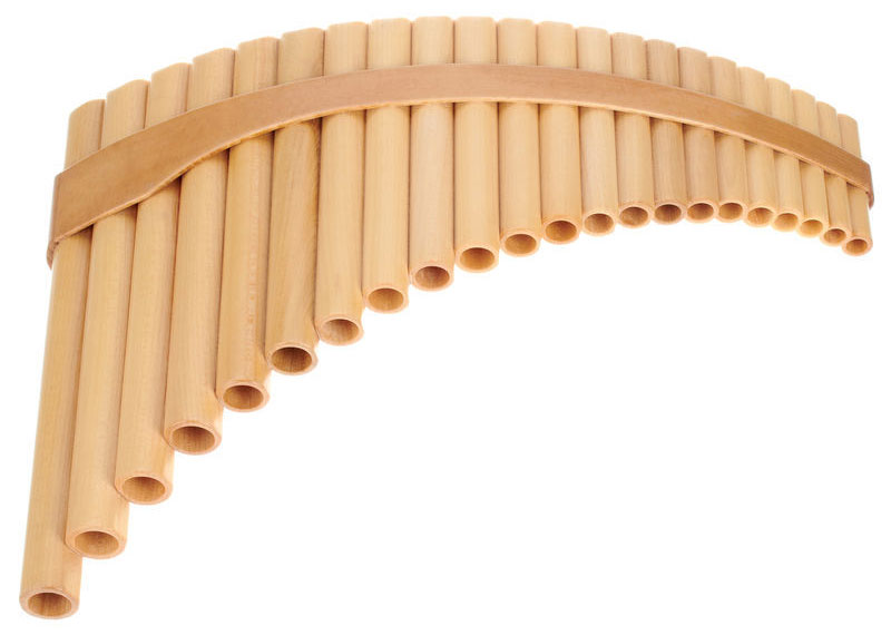 19 Different Types of Flutes (w/ Pictures)