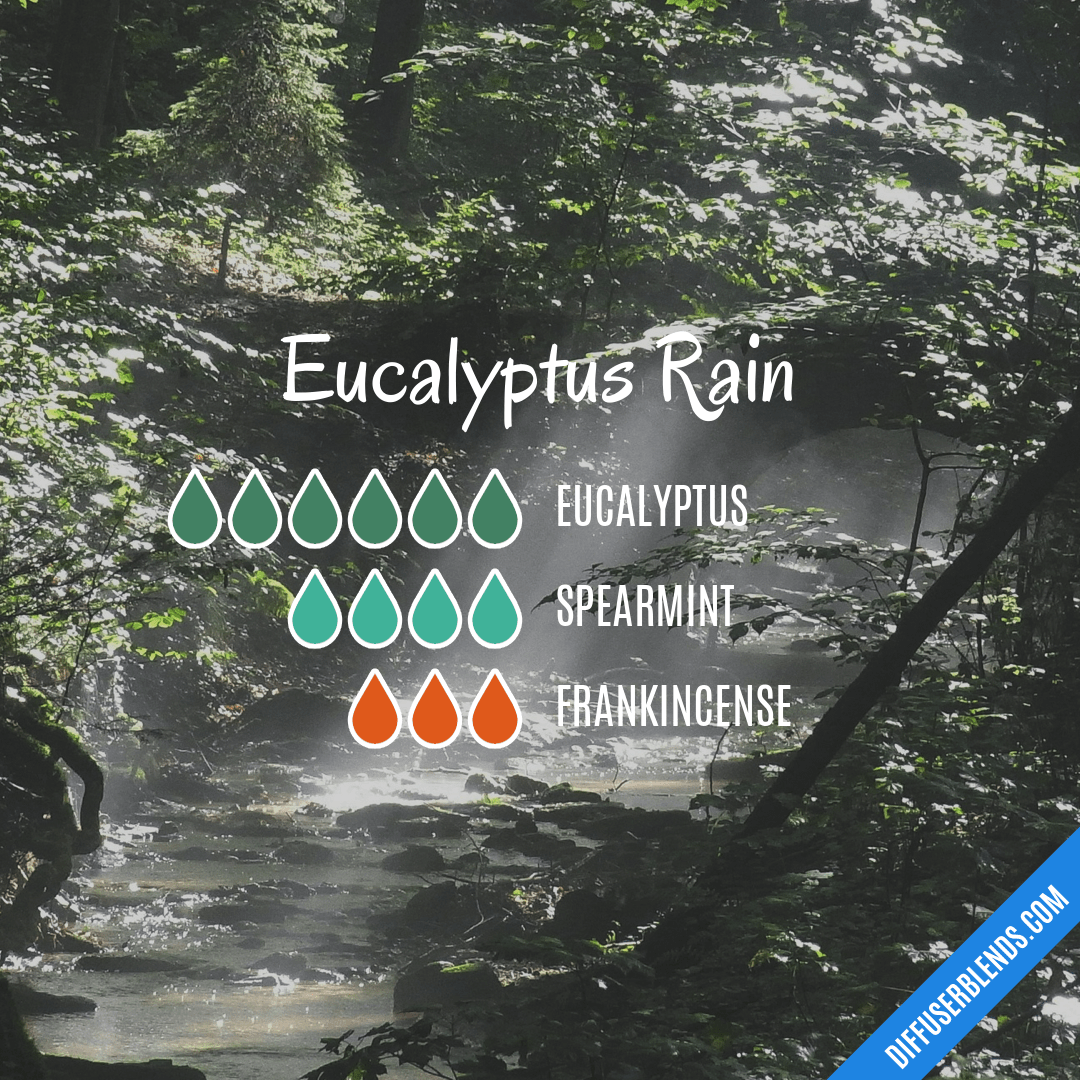 Eucalyptus Rain