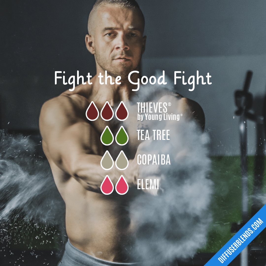 Fight the Good Fight