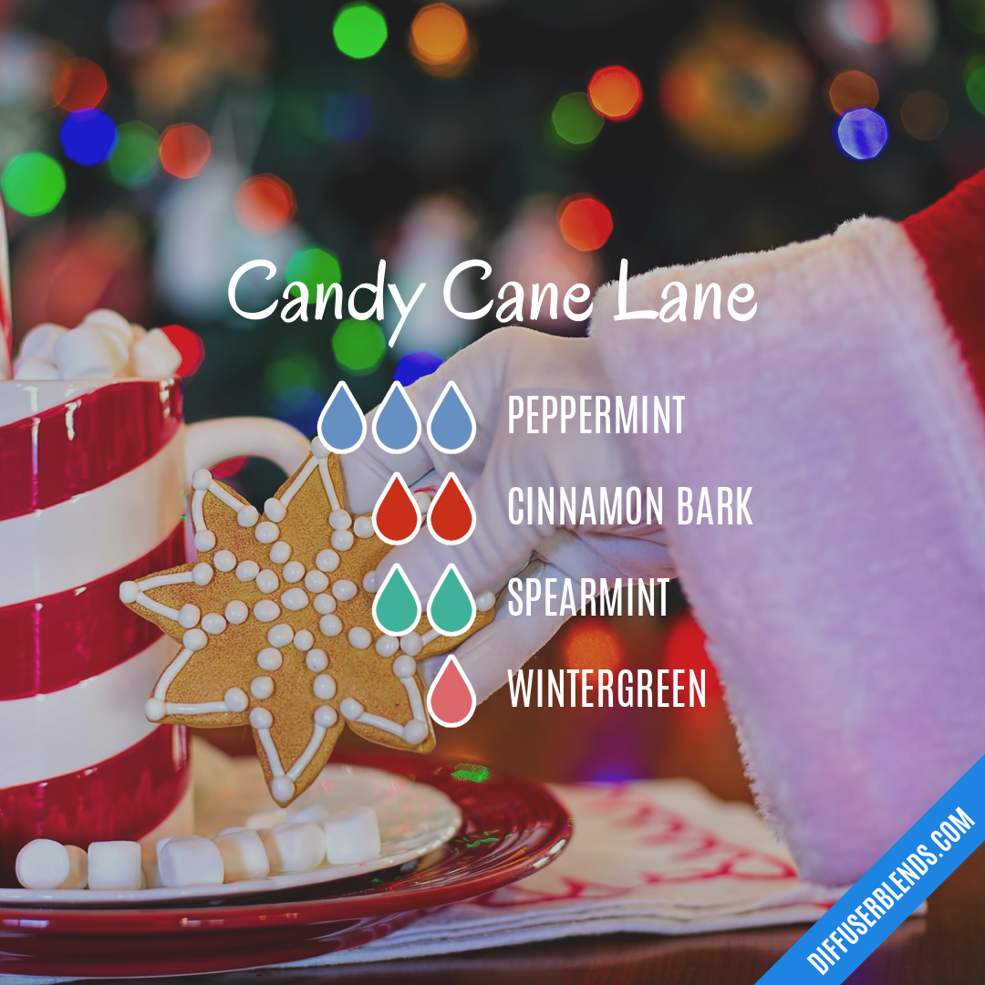Candy Cane Lane
