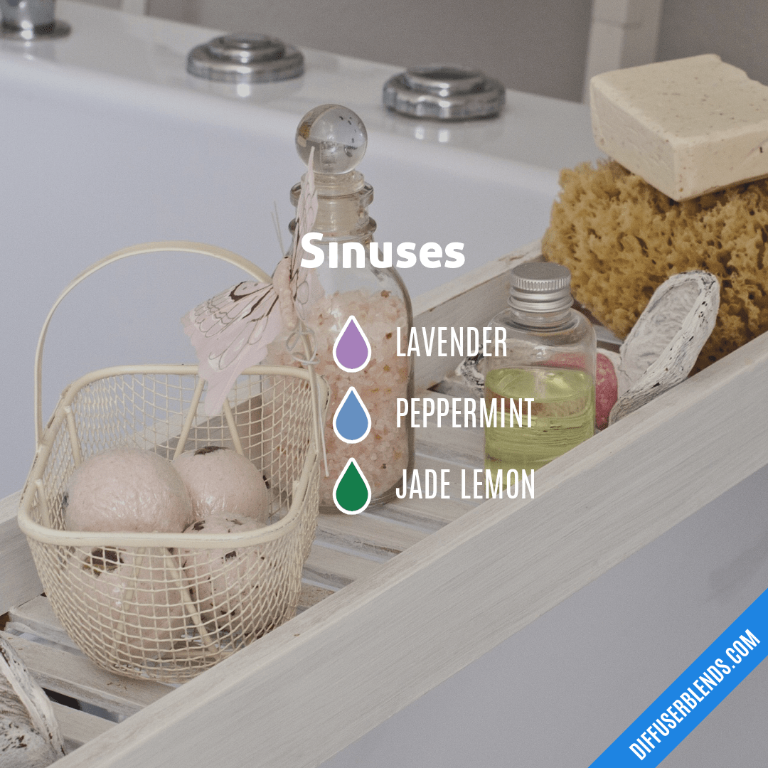 Sinuses