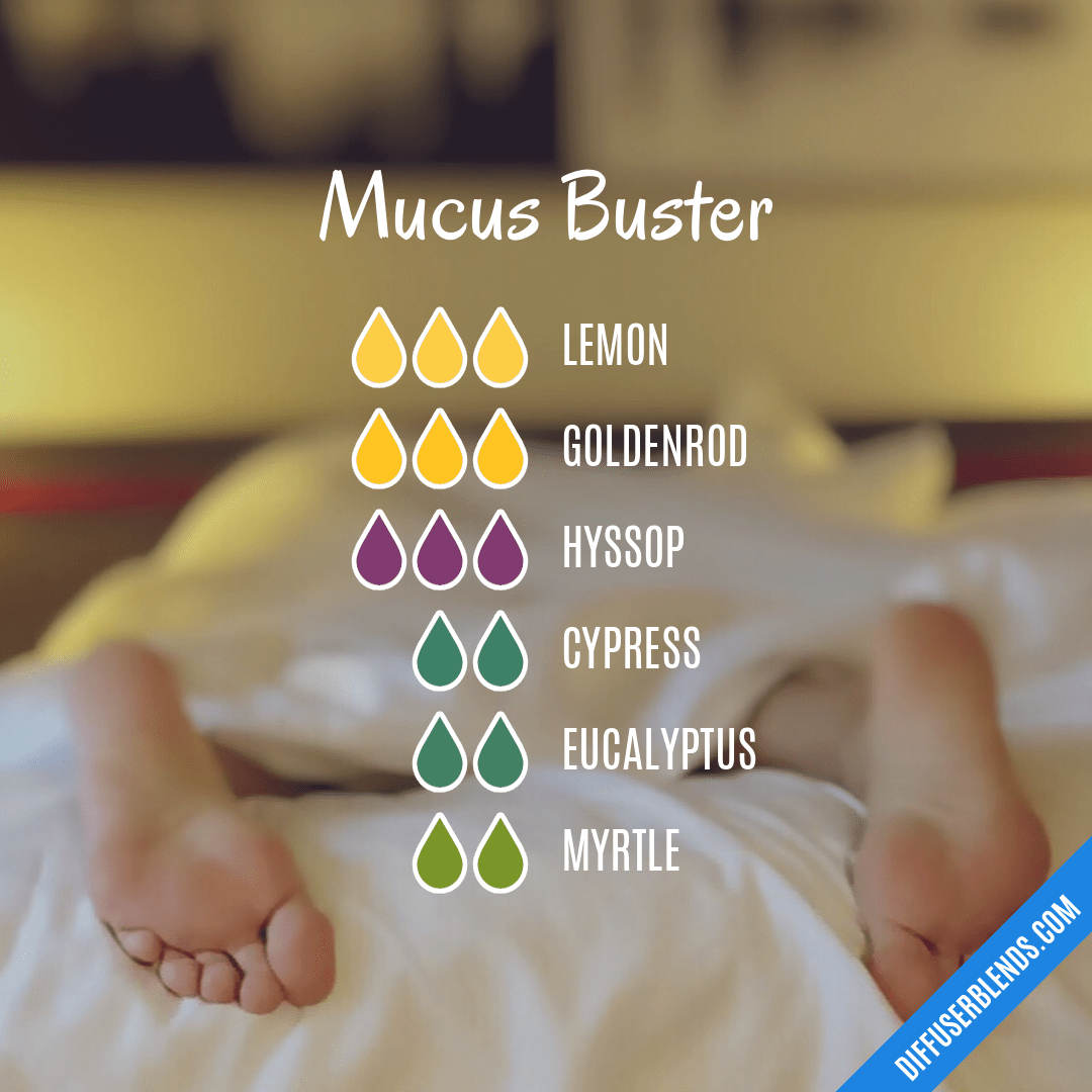 Susjedstvo Sretno paket essential oils for mucus and phlegm gomila