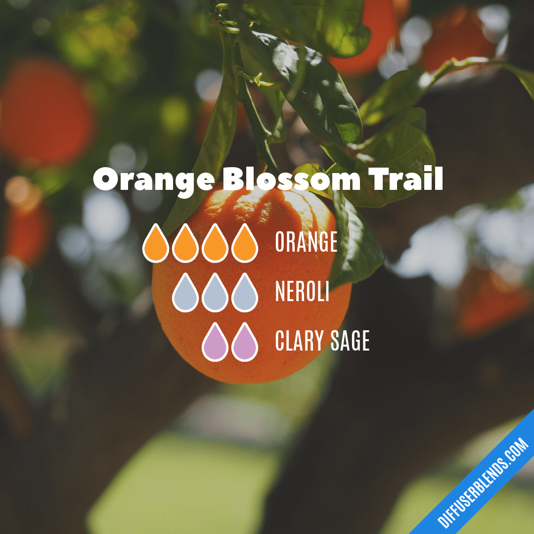 Orange Blossom Trail
