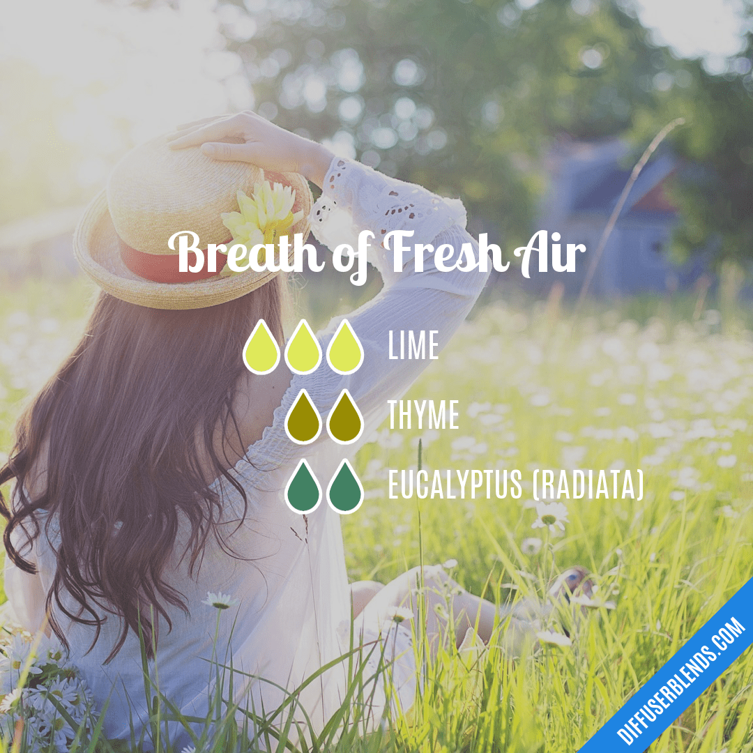 Breath of Fresh Air