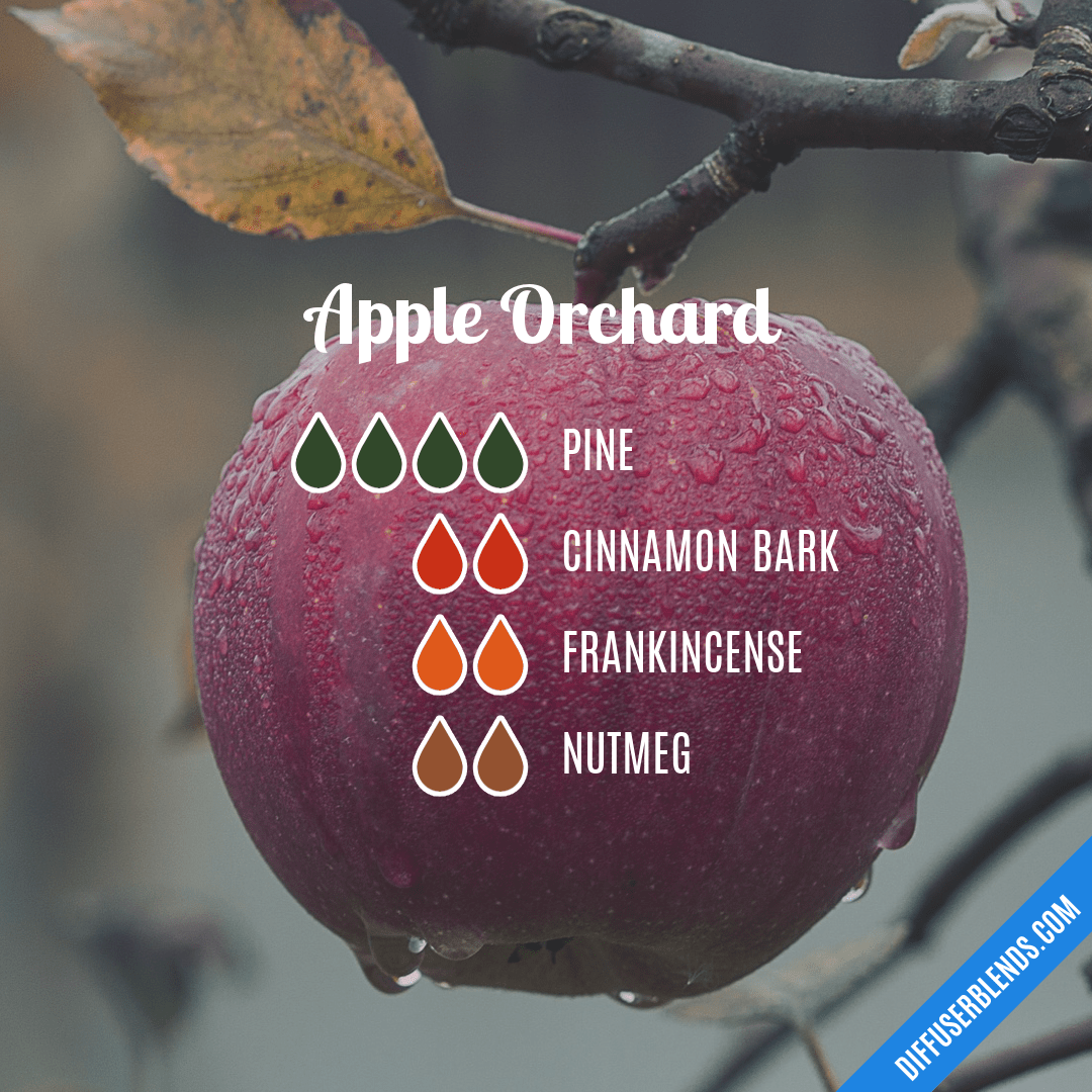 Apple Orchard