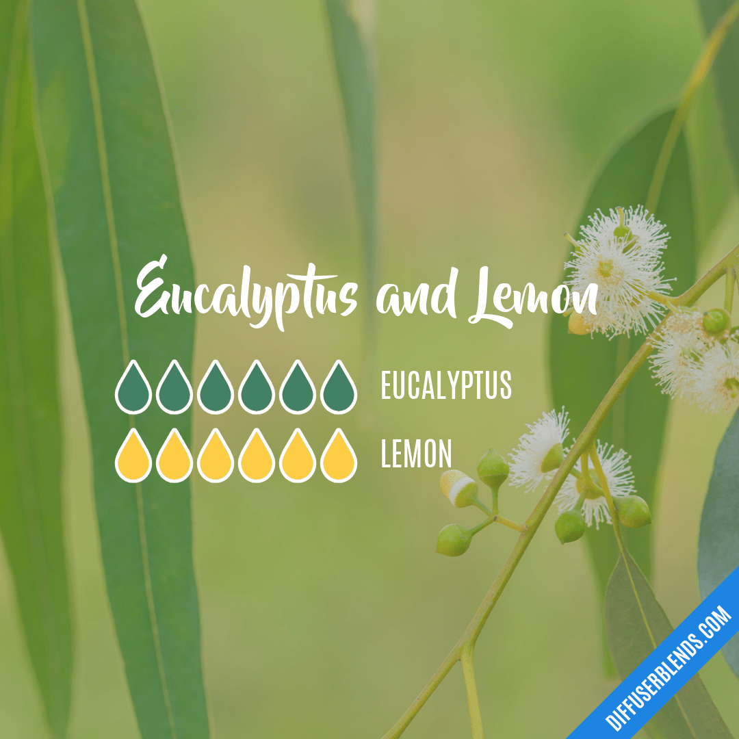 Eucalyptus and Lemon