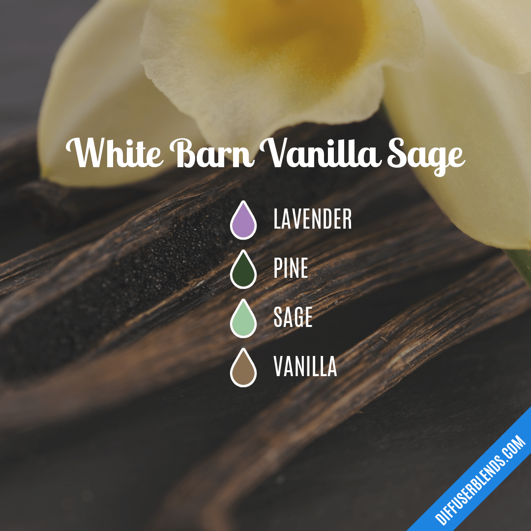 White Barn Vanilla Sage