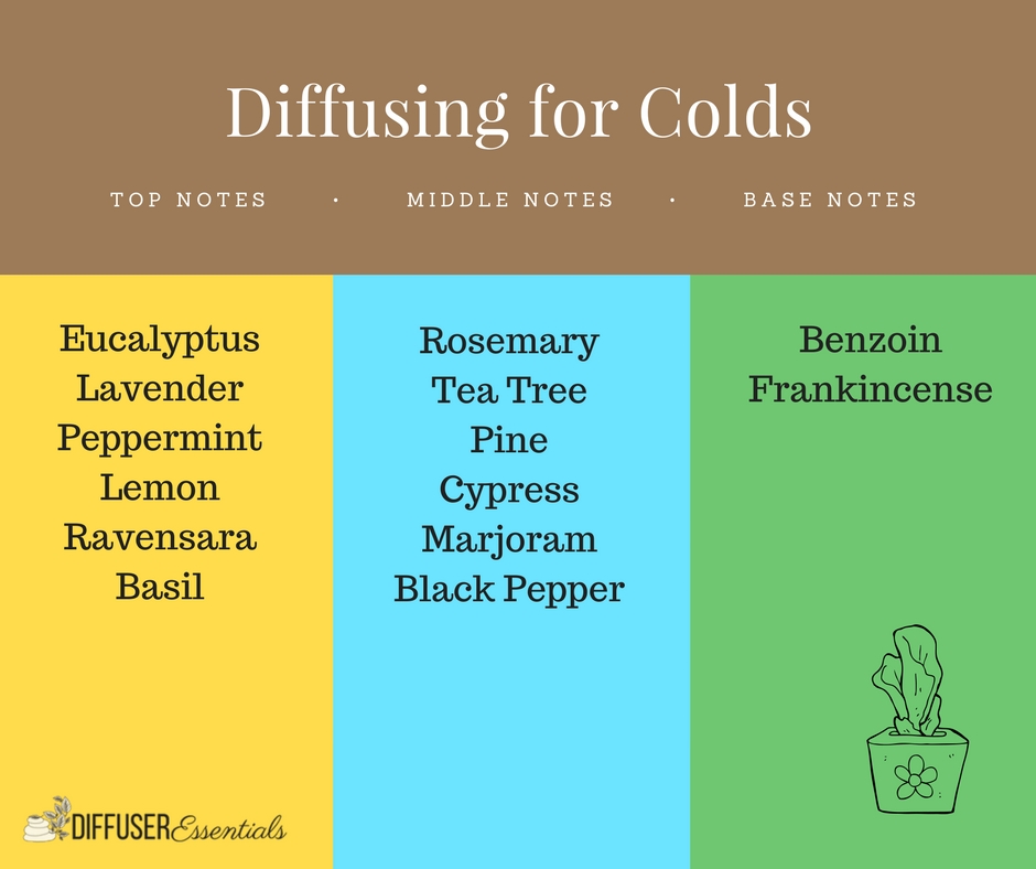 Essential Oils for Colds Diffuser Essentials