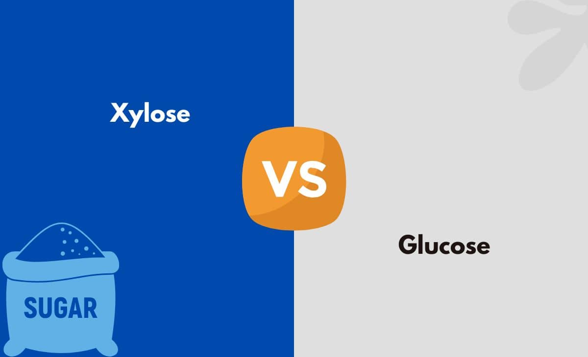 Xylose vs. Glucose What's The Difference (With Table)