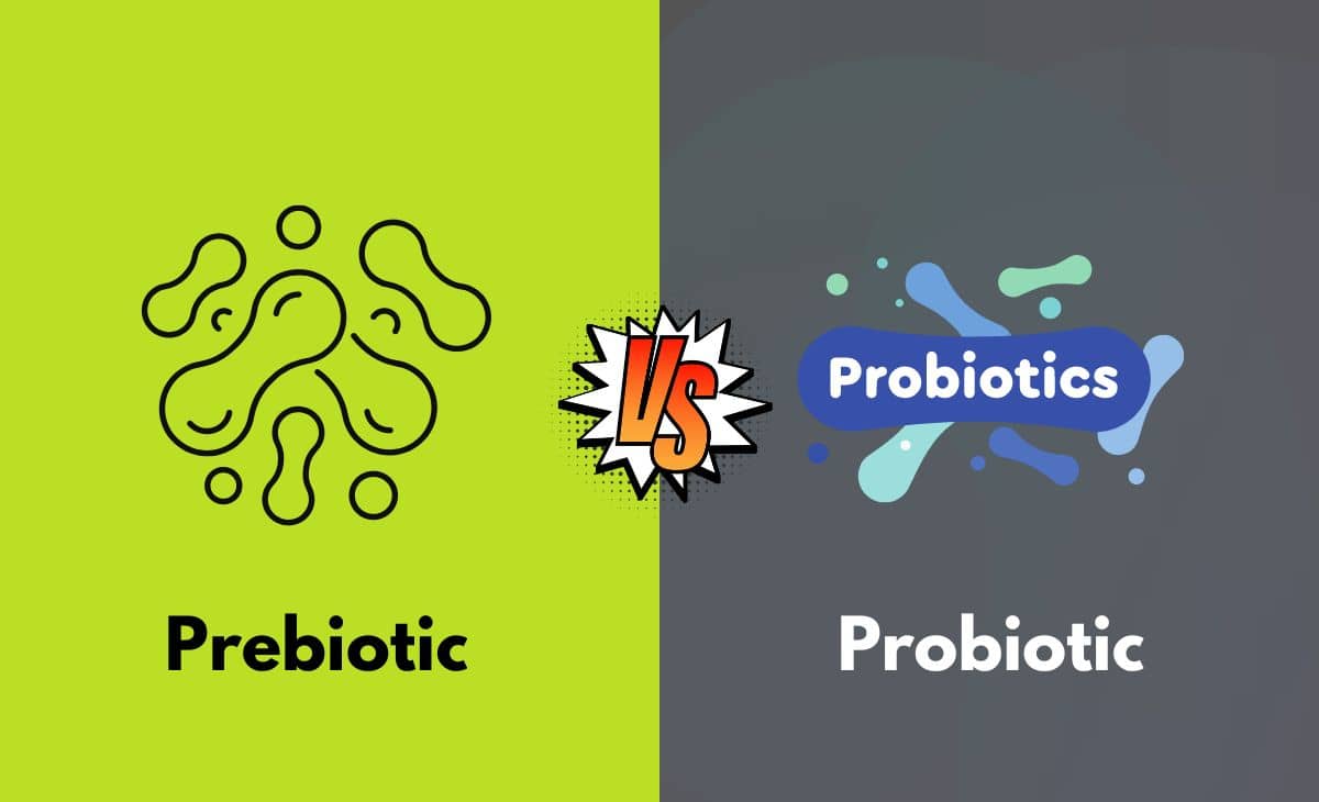 Prebiotic vs. Probiotic What's The Difference (With Table)