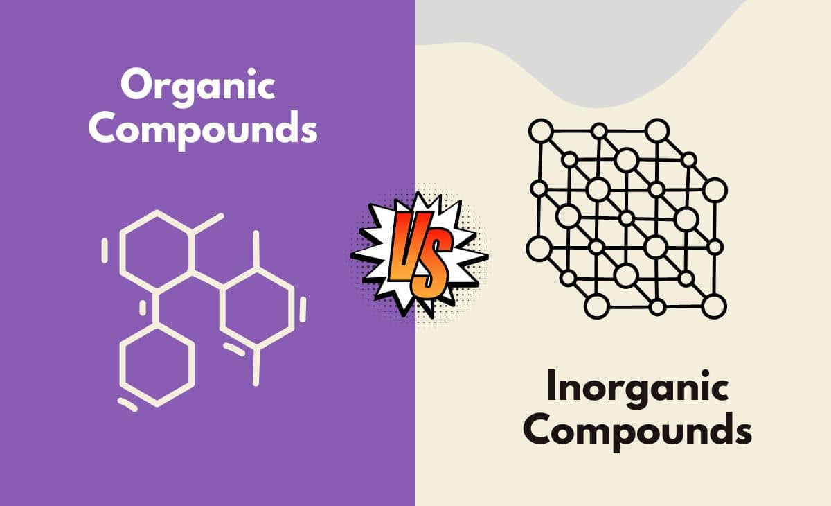 Organic Compounds vs. Compounds What's The Difference (With