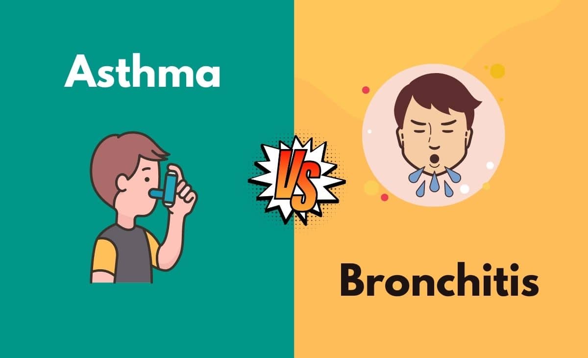 Asthma vs. Bronchitis What's The Difference In Tabular Form, Points