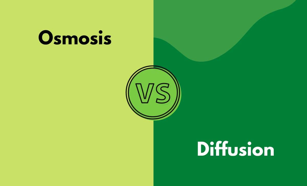 Osmosis vs. Diffusion What's The Difference (With Table)