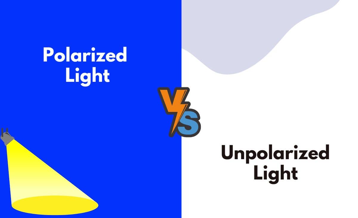 Polarized vs. Unpolarized Light What's The Difference (With Table)