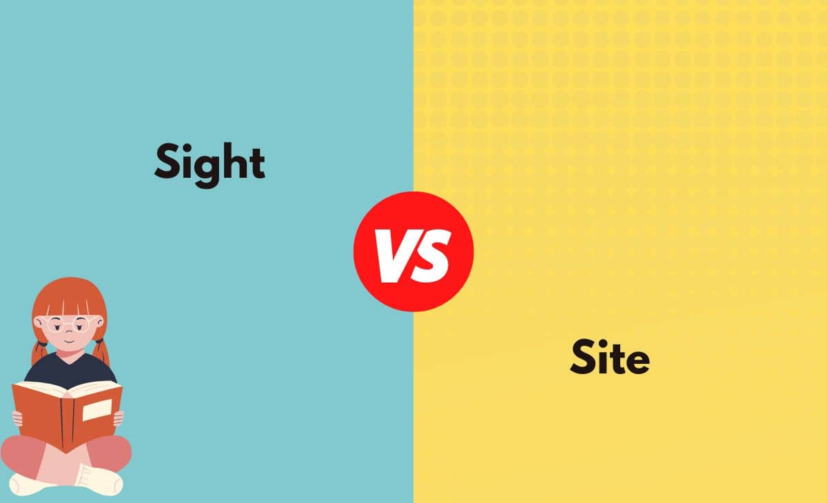Sight vs. Site What's The Difference (With Table)