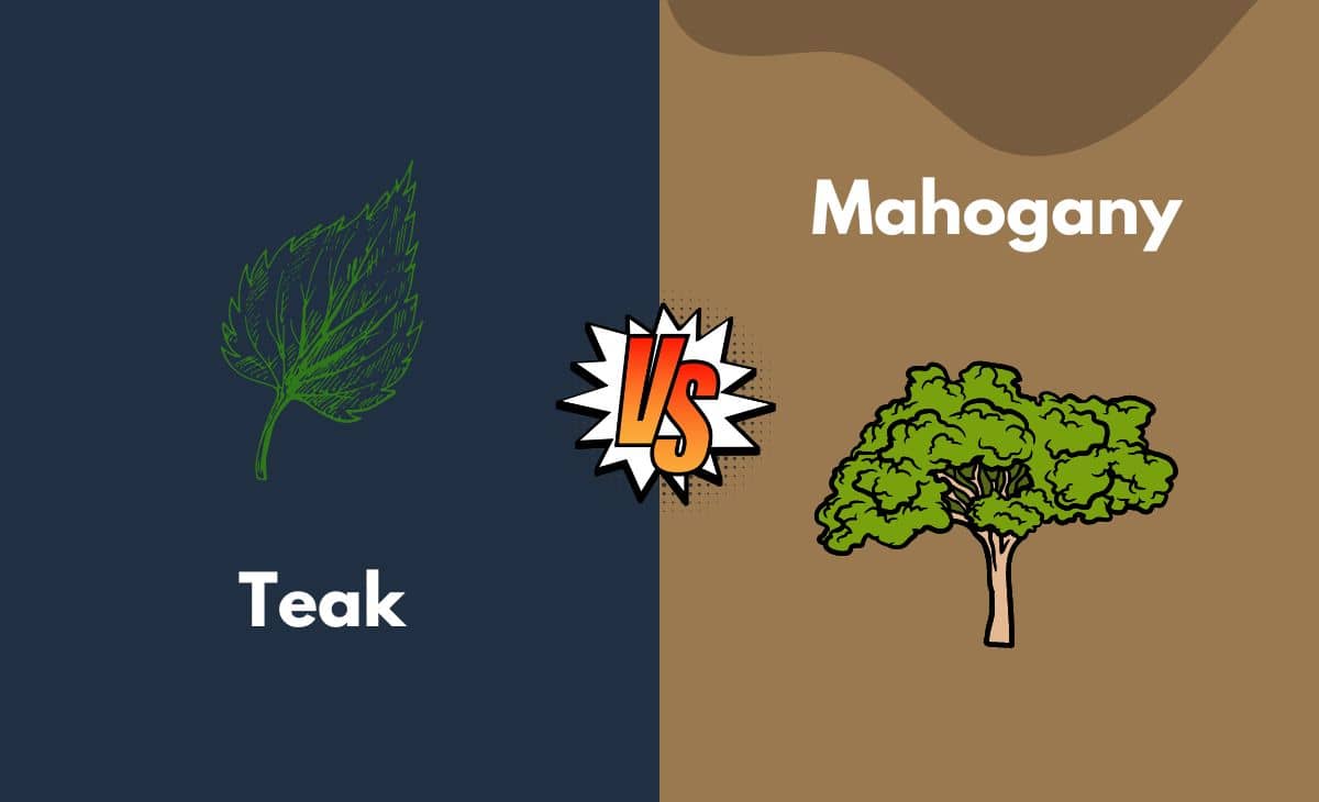 Teak vs Mahogany What's the Difference (With Table)