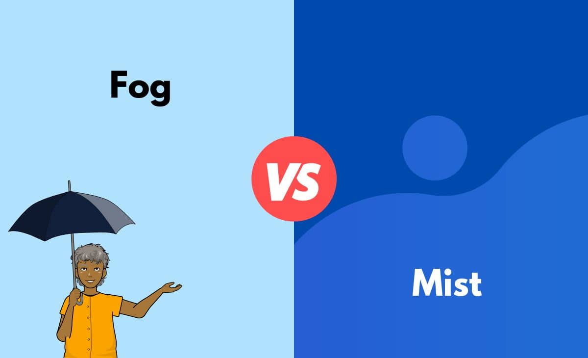 Fog vs. Mist What's the Difference (With Table)