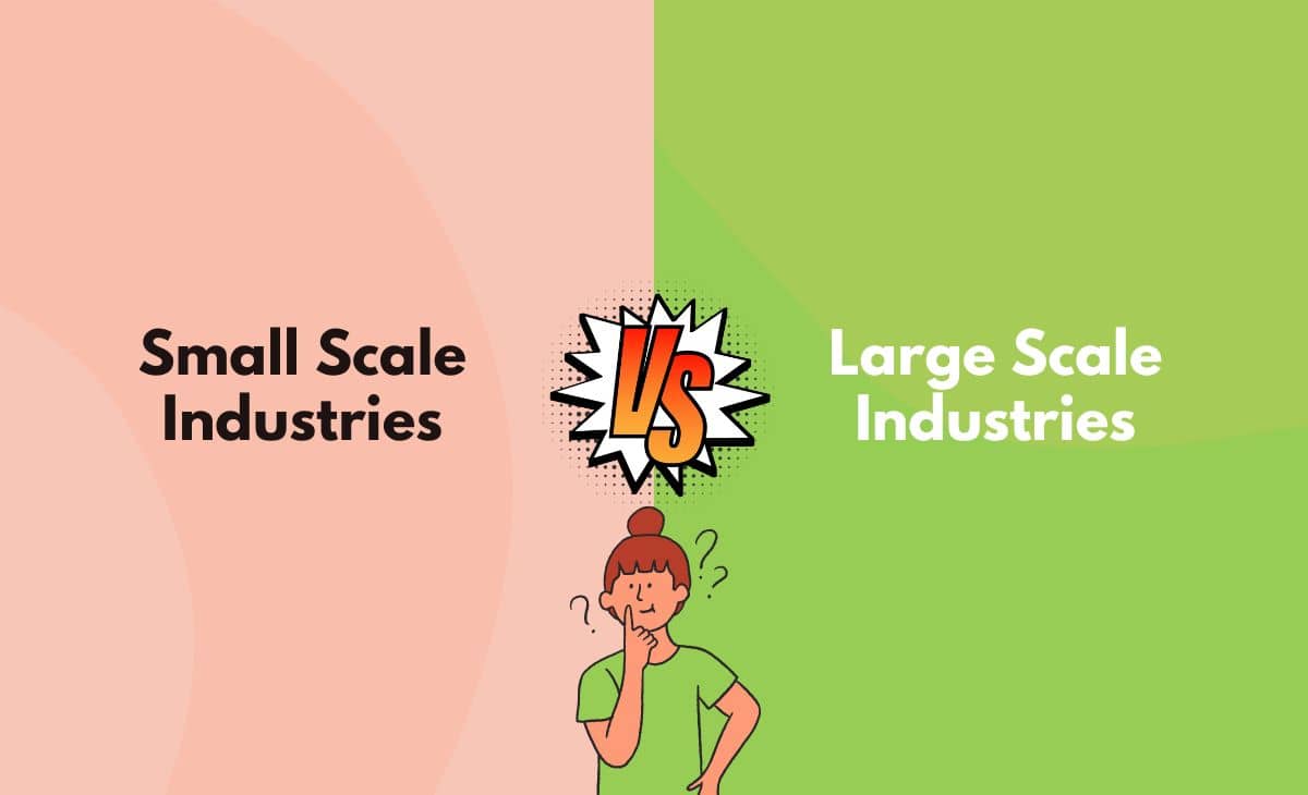Small Scale Industries vs. Large Scale Industries What's the