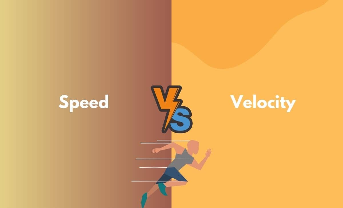 Speed vs Velocity What's the Difference (With Table)