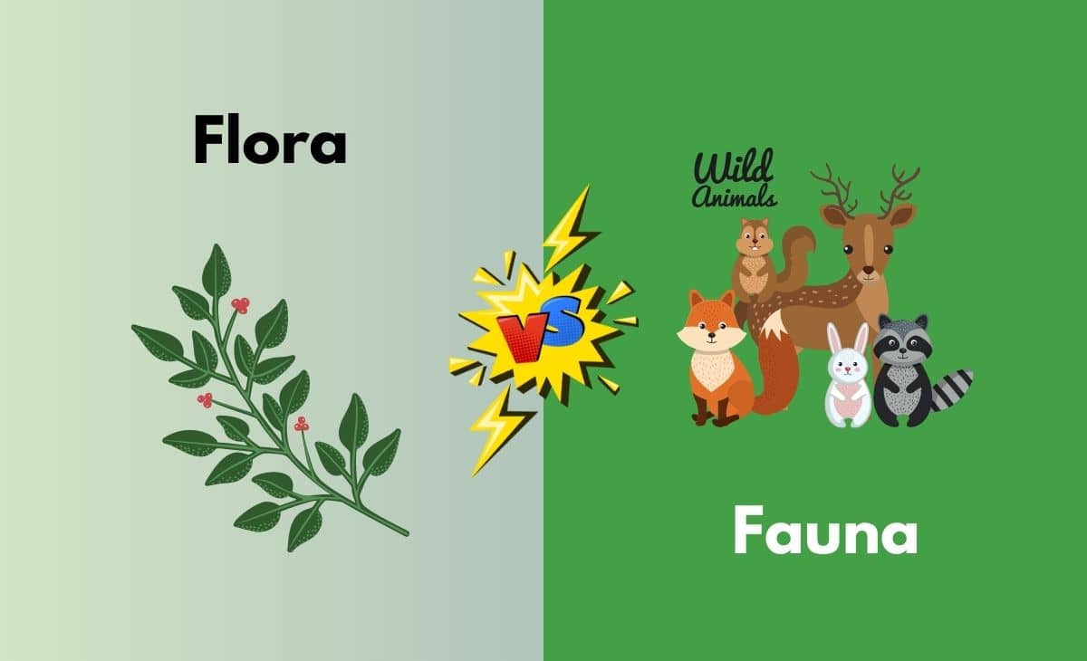 Flora vs. Fauna What's the Difference (With Table)