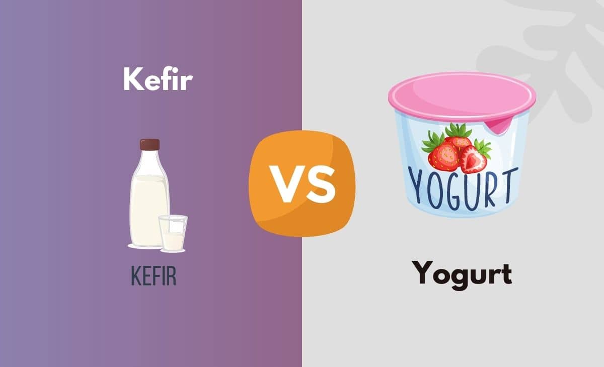 Kefir vs Yogurt