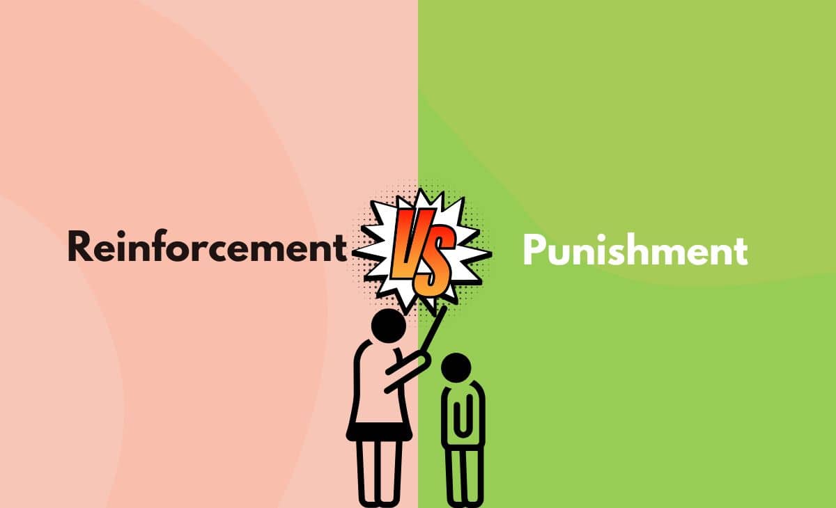 Reinforcement vs Punishment What's the Difference (With Table)