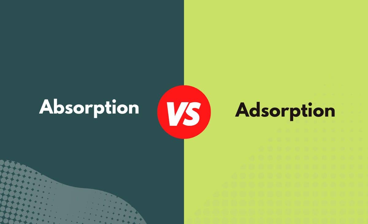 Absorption vs. Adsorption What's the Difference (With Table)