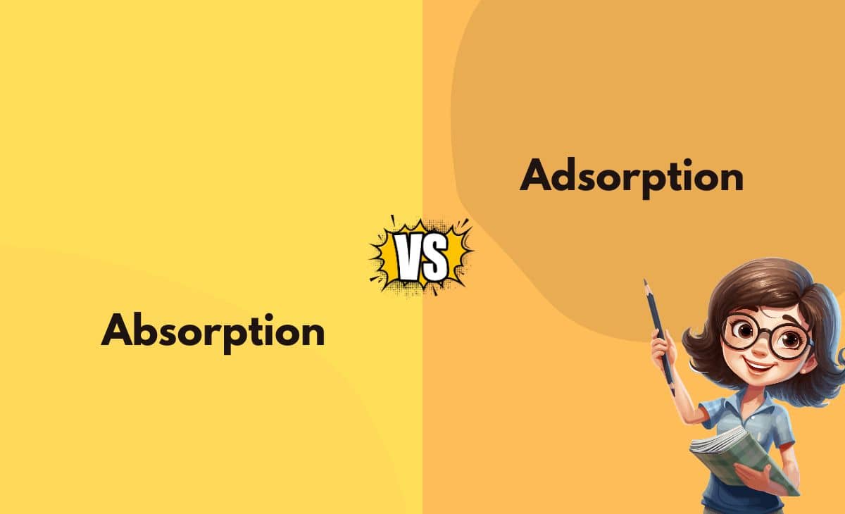 Absorption Vs. Adsorption What's the Difference (With Table)