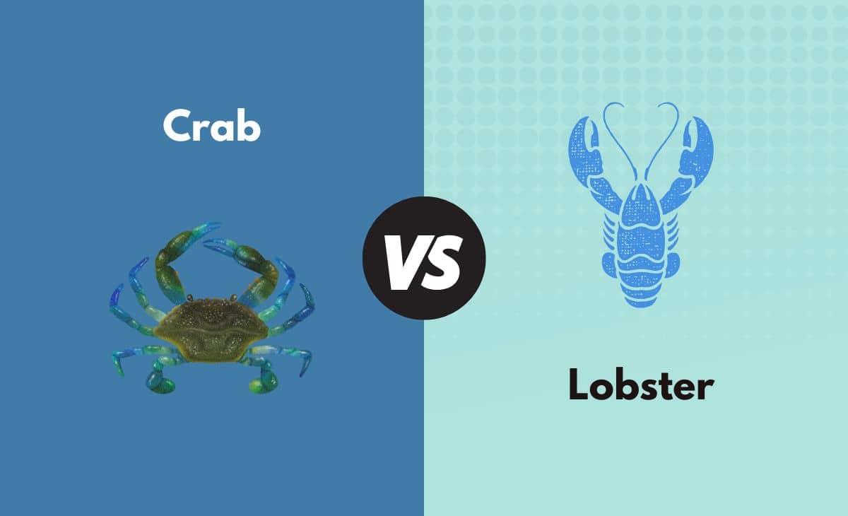Crab vs. Lobster What's the Difference (With Table)