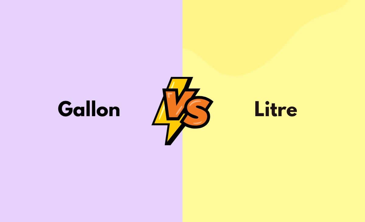 Gallon vs. Litre What's the Difference (With Table)